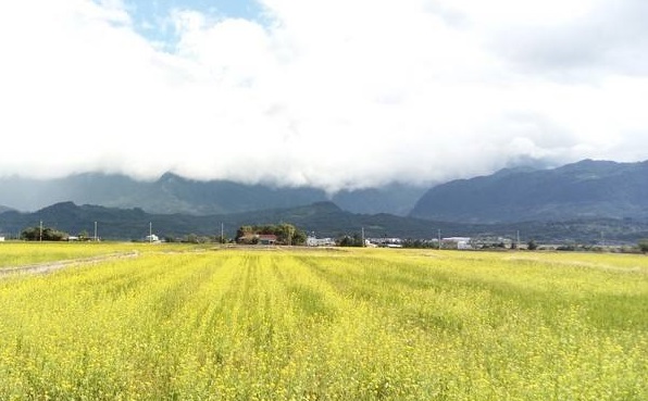 土壤水勢測定儀